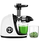 Jocuu Slow Masticating Juicer with 2-Speed Modes - Cold Press Juicer Machine - Quiet Motor & Reve...