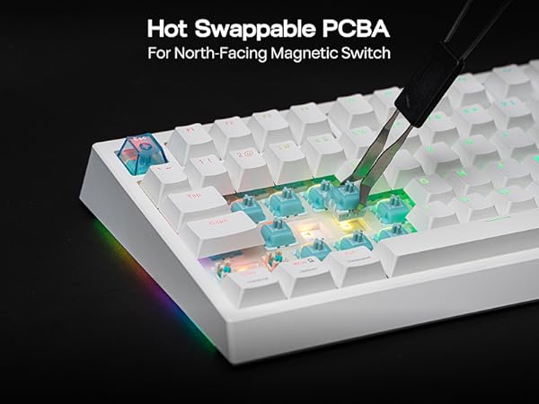 EPOMAKER G84 HE Wireless Gaming Keyboard
