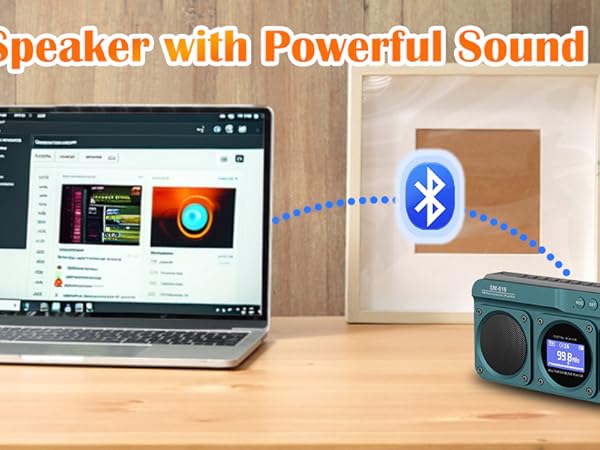 FM Bluetooth Speaker