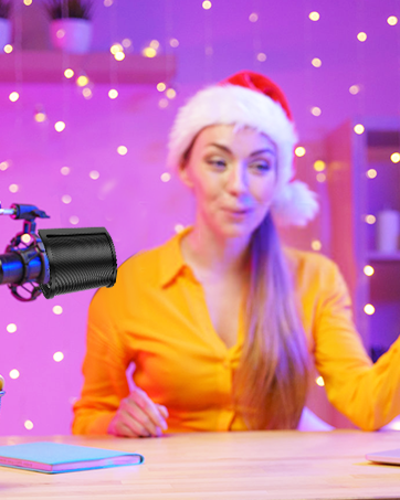 mic filter