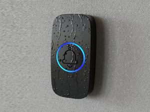 doorbell