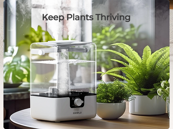 humidifier for bedroom