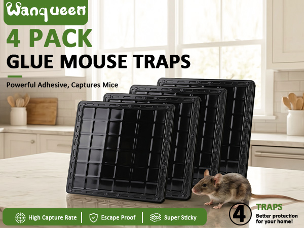 rat trap