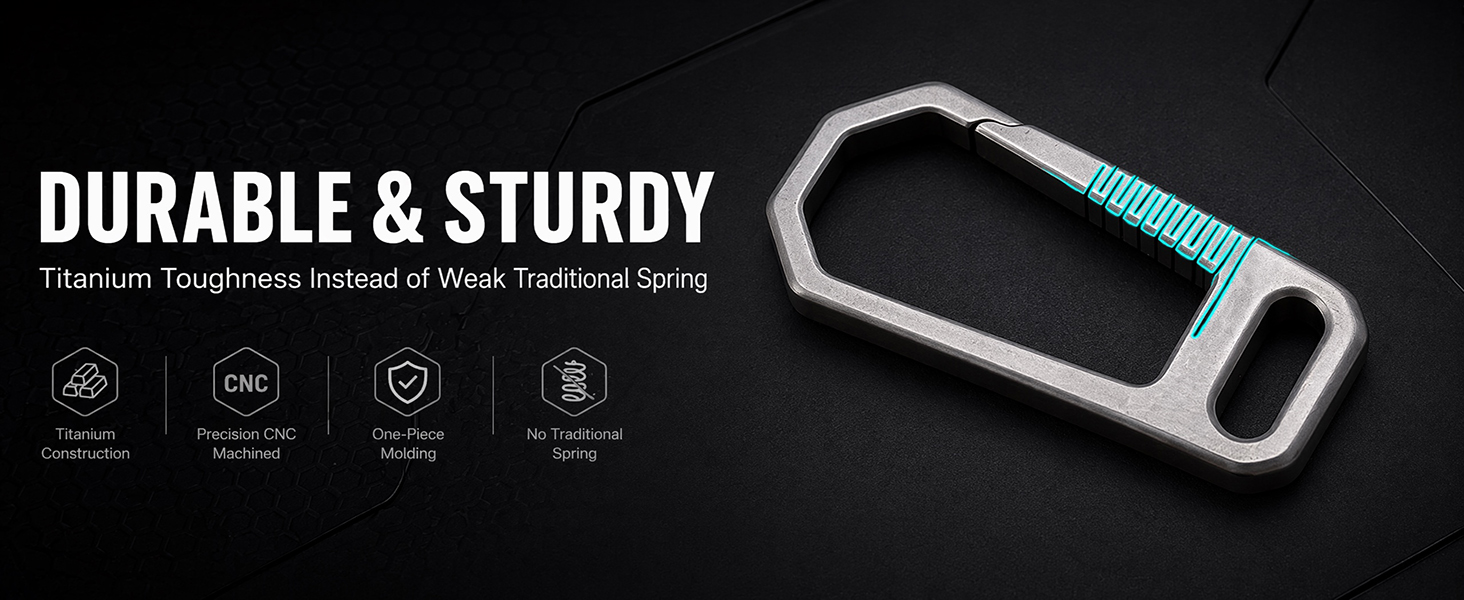 Titanium Carabiner Keychain