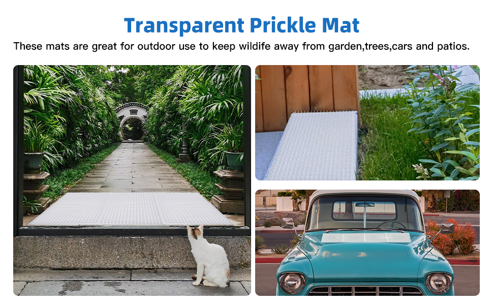 scat mat for cats