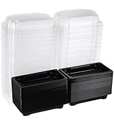 YARNOW Sushi Containers with Lid: 100 Pcs Black Disposable Sushi Containers with Clear Lid Fruit ...