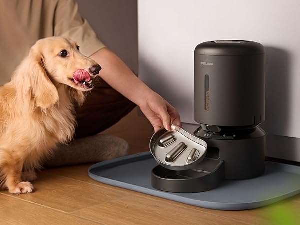 Dog slow feeder