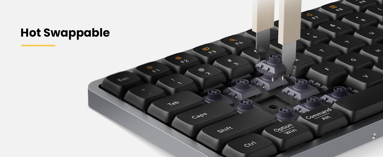 hot swappable