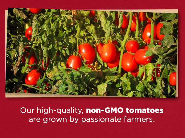 Our tomatoes