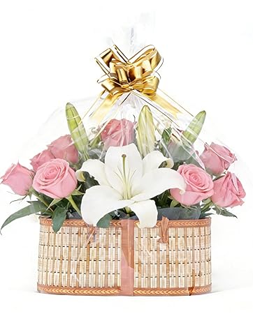 https://m.media-amazon.com/images/S/aplus-media-library-service-media/4767c24c-6169-460e-b0dd-019d9489d943.__CR586,0,1336,1672_PT0_SX362_V1___.png