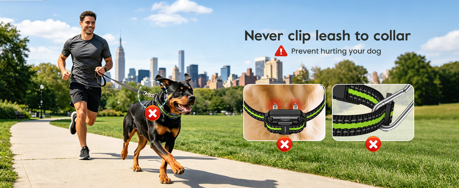 dog shock collar