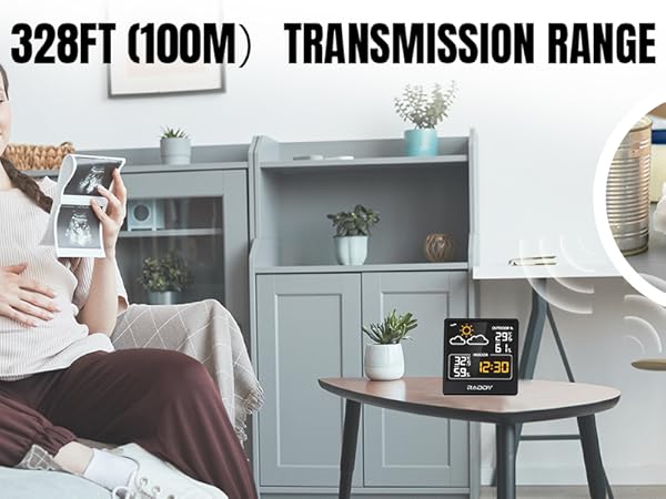 Raddy WF-50V Indoor Outdoor Thermometer Hygrometer
