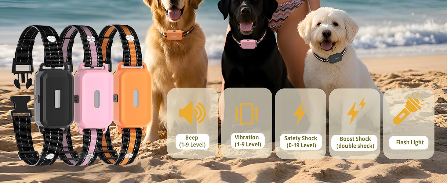3 pack dog collar