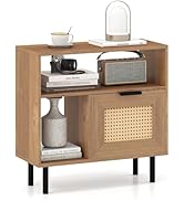 Giantex Rattan End Table with Cabinet, Boho Nightstand with Storage Shelves, Narrow Side Table fo...