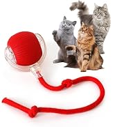 Rocfish Durable Interactive Cat Toys for Indoor Cats, Smart Automatic Cat Chase Ball Toy, Upgrade...