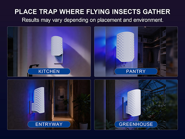 fruit fly traps for indoors