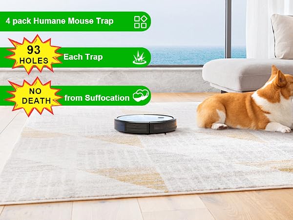 Mouse Traps