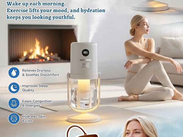 Dual Mist Portable Humidifier