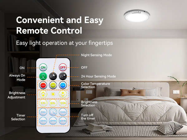 Motion Sensor Ceiling Light