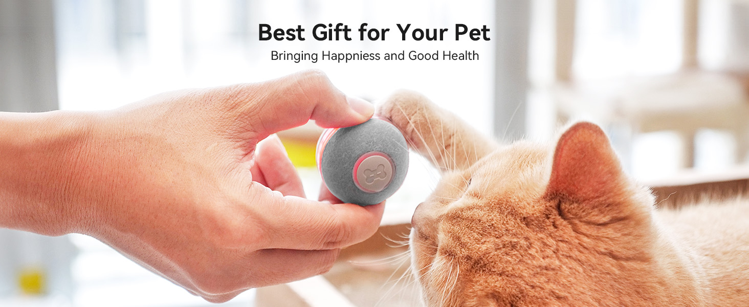 Cheerble Interactive Cat Toy