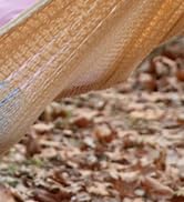 hammock