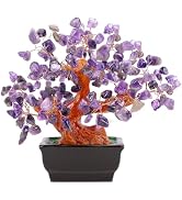 NUKAYAI Natural Amethyst Crystal Purple Money Tree for Office Home Room Desk Decor Meditation Pos...