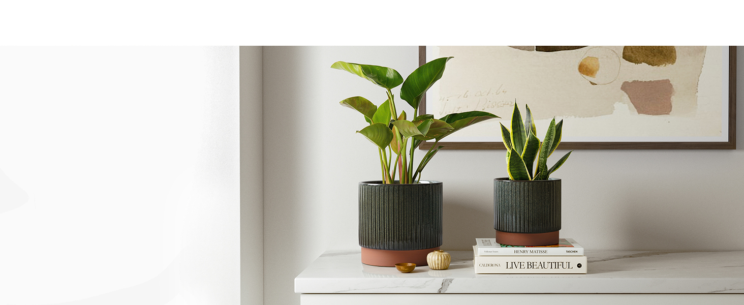 large planters Pots