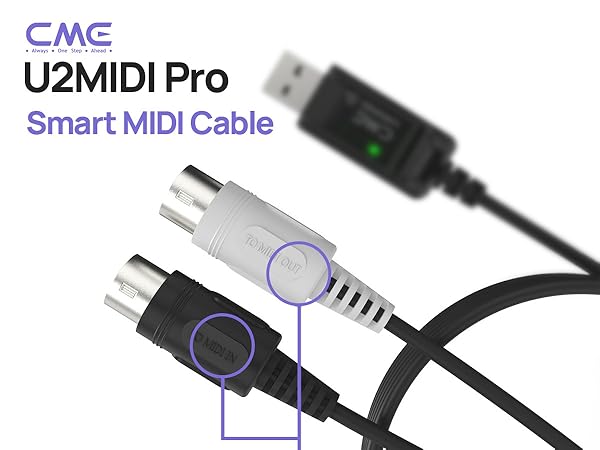 https://m.media-amazon.com/images/S/aplus-media-library-service-media/5f93869e-a1ad-4b53-a71b-f8f3c09a7168.__CR0,0,1200,900_PT0_SX600_V1___.jpg