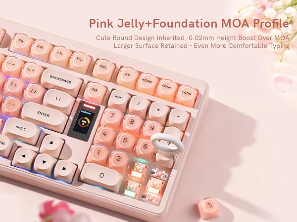 Jelly Foundation MOA Profile