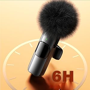 Mini Microphone