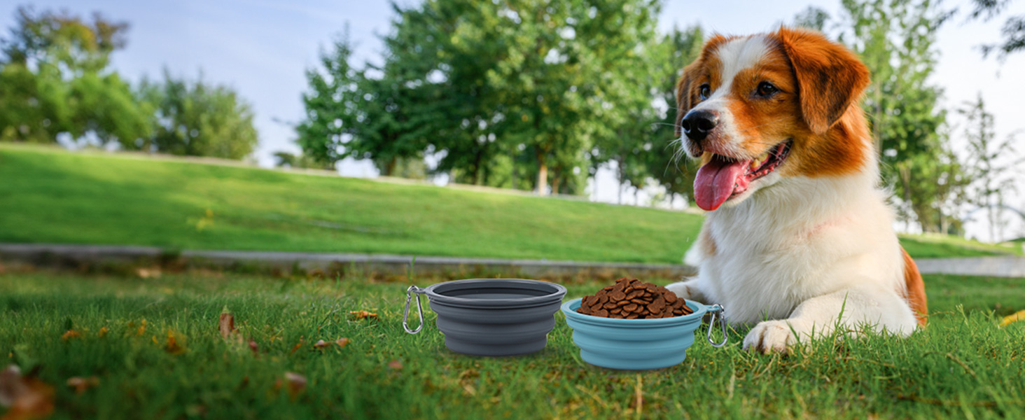 collapsible dog bowls portable dog bowl dog travel bowl