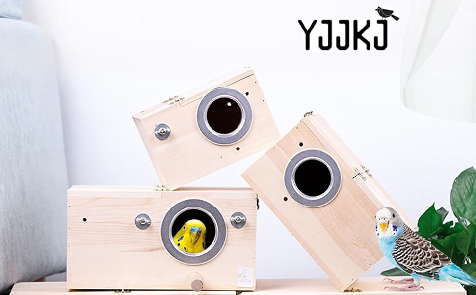 Transparent bird's nest box