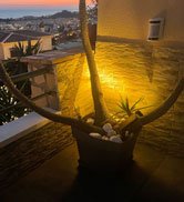 solar spotlights