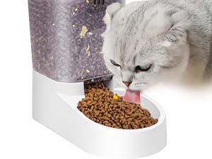 cat feeder