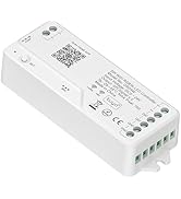 BTF-LIGHTING 2.4G WiFi DR04W SPI RGBW Controller Tuya APP/Smart Life/Google Home/Alexa Control Su...