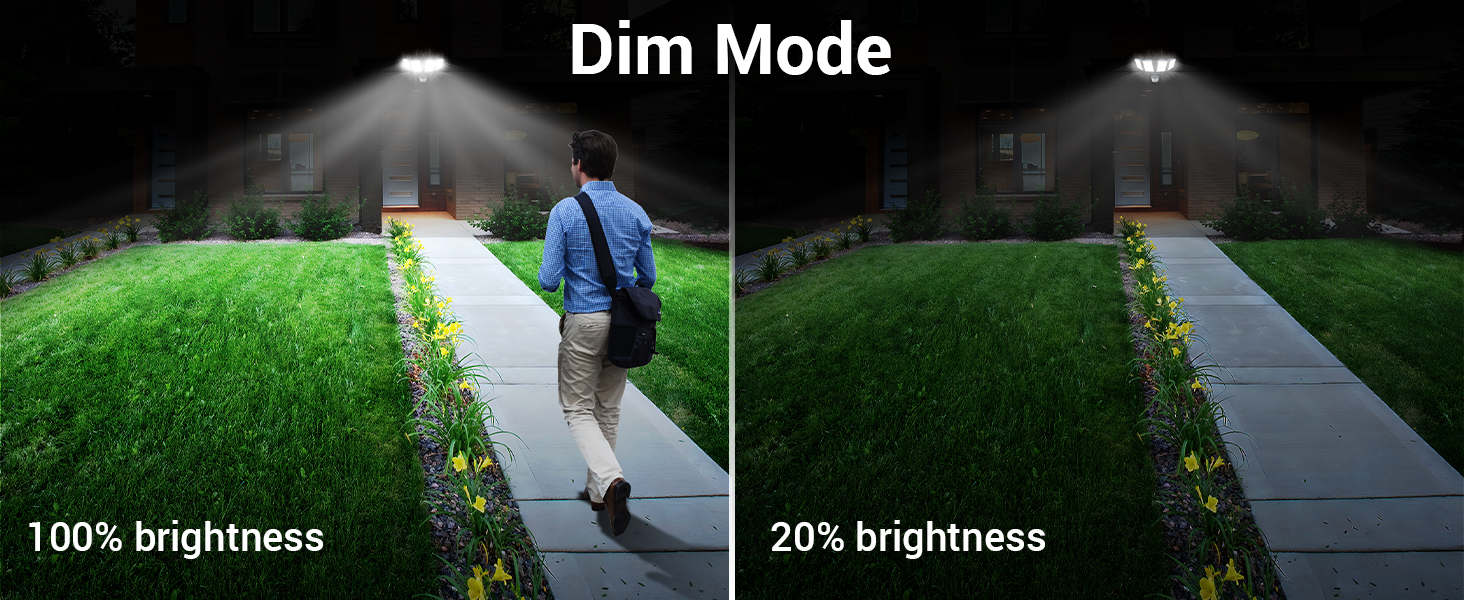 led flood light