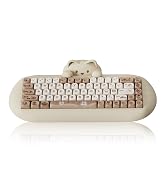 YUNZII C68 Wireless Mechanical Keyboard,65% Layout,Hot Swap,Triple Mode BT5.0/2.4G/Wired, RGB Bac...