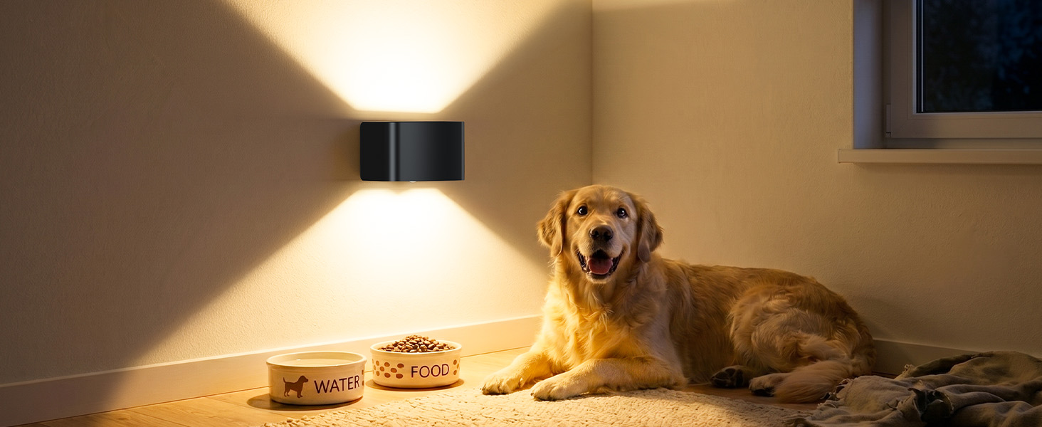 Motion Sensor Wall Light with Remote Control