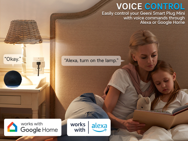 Voice