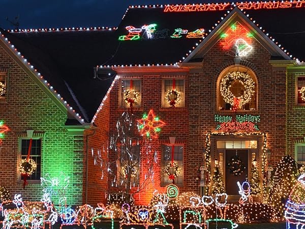 66ft Christmas Decorative Mini Lights