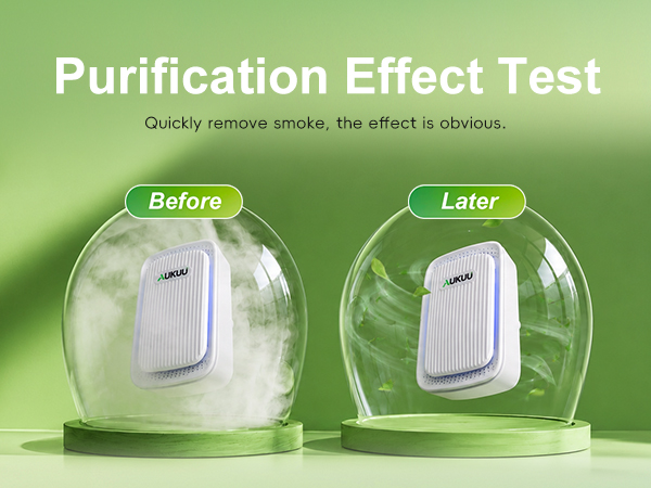 Effect Test Purification