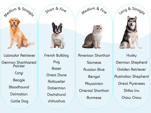 pet hair removal tool