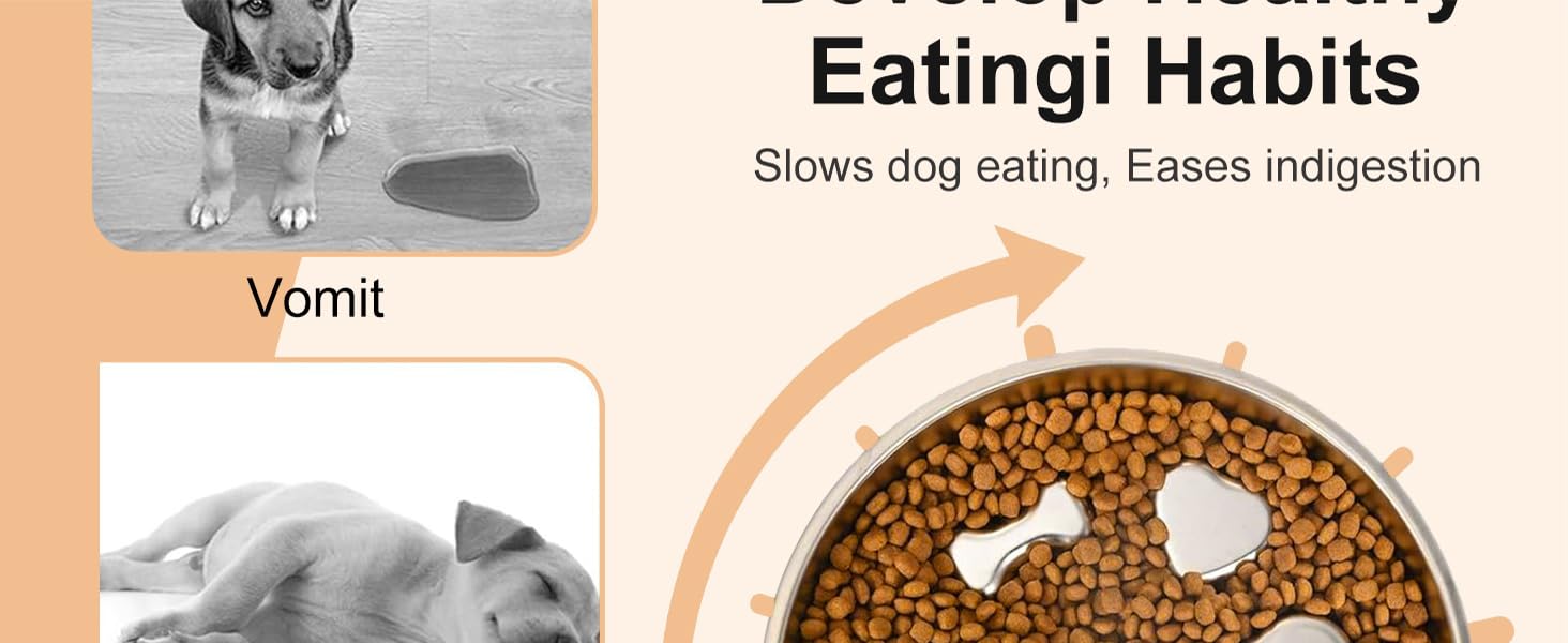 Stainless Steel Slow Feeder Dog Bowls