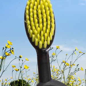 Flex Brush-3