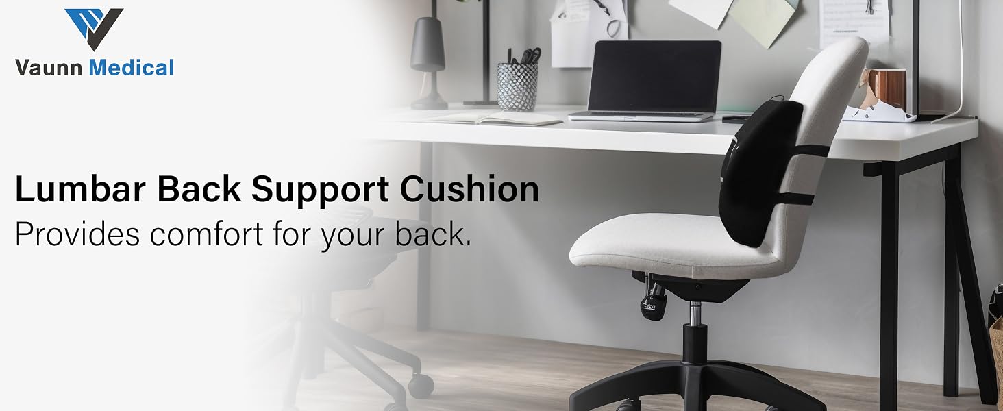 Lumbar Support _01