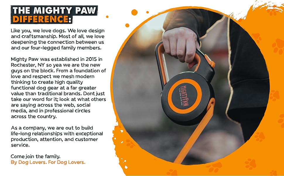 Leash Dog