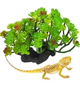 kathson Reptile Plant Succulent,Artificial Plants Aquarium &Terrarium Accessories for Bearded Dra...
