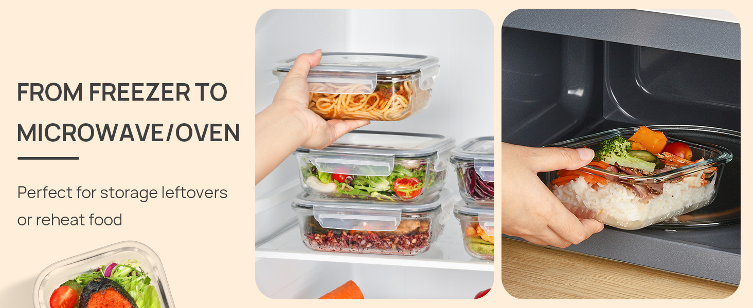 lunch containers for adults