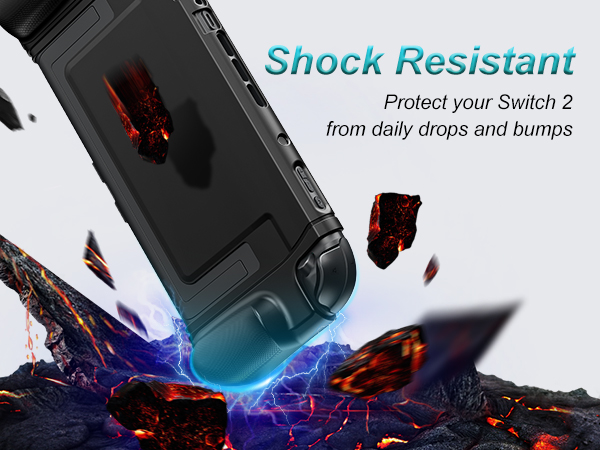 switch 2 dockable case