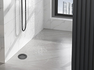 Shower Drains